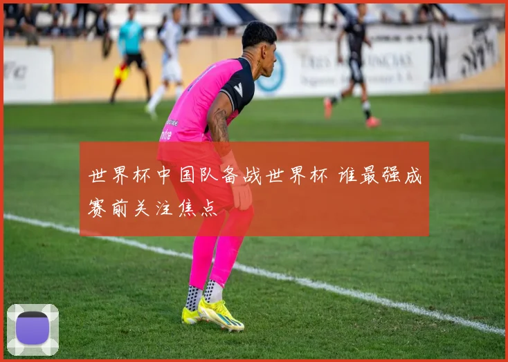 世界杯中国队备战世界杯 谁最强成赛前关注焦点
