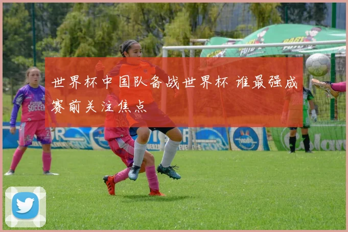 世界杯中国队备战世界杯 谁最强成赛前关注焦点