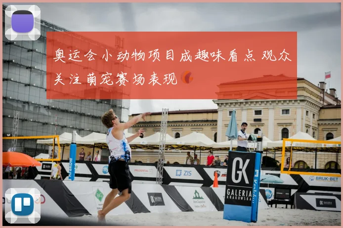 奥运会小动物项目成趣味看点 观众关注萌宠赛场表现