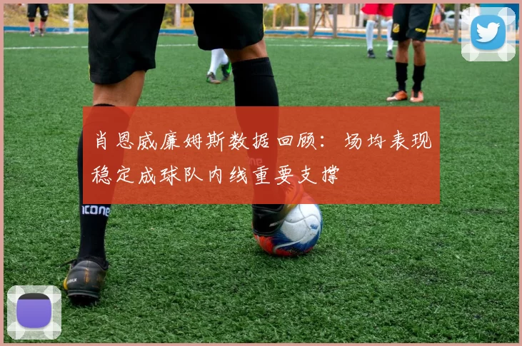 肖恩威廉姆斯数据回顾：场均表现稳定成球队内线重要支撑