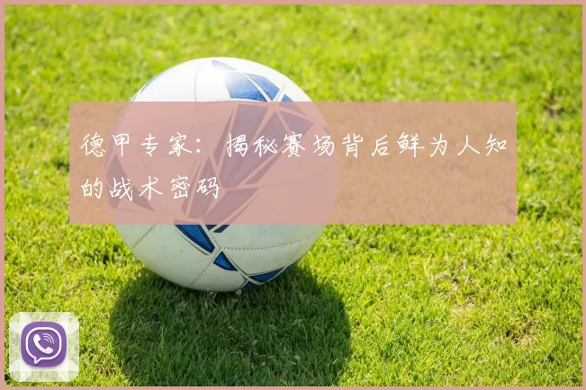 德甲专家:揭秘赛场背后鲜为人知的战术密码
