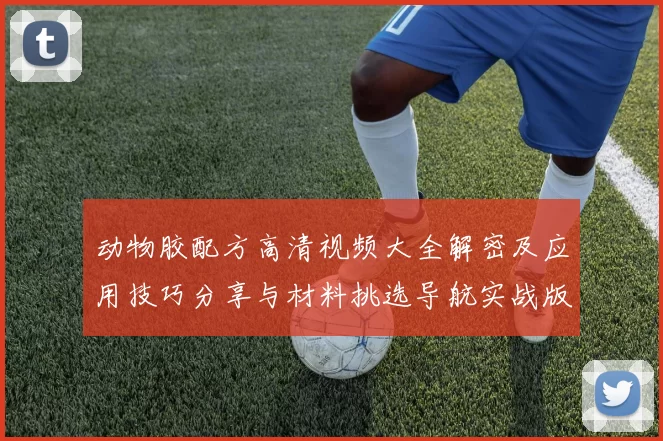 动物胶配方高清视频大全解密及应用技巧分享与材料挑选导航实战版