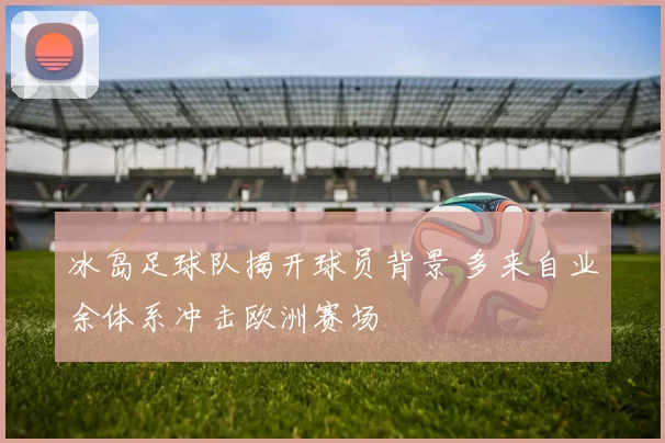 冰岛足球队揭开球员背景 多来自业余体系冲击欧洲赛场