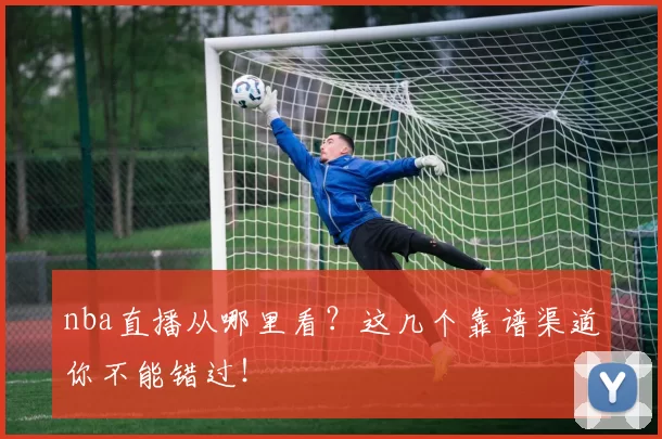 nba直播从哪里看？这几个靠谱渠道你不能错过！
